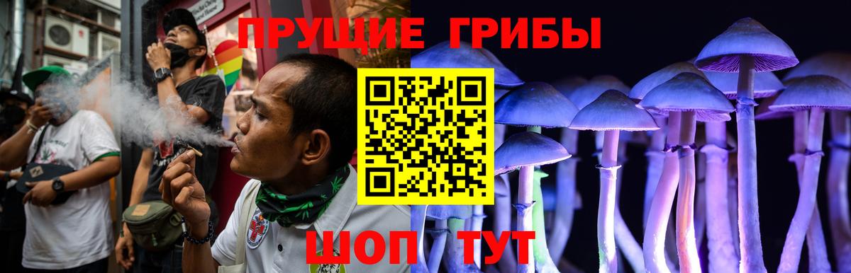 Вичуга  сколько стоит  Галлюциногенные грибы Cubensis  Вход с VPN  Галлюциногенные грибы мухоморы 